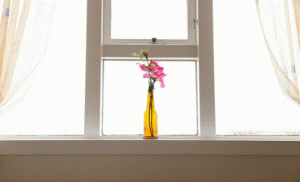 Read more about the article Spring Cleaning Guide: How to Maintain Your Windows & Doors for Years to Come